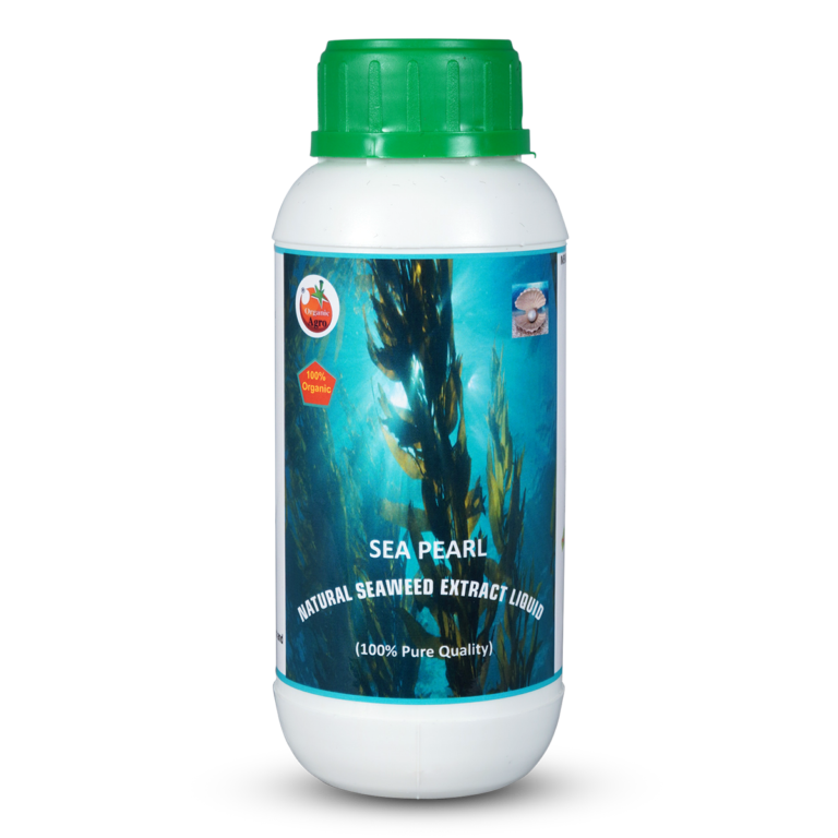 Sea Pearl Oil (1)