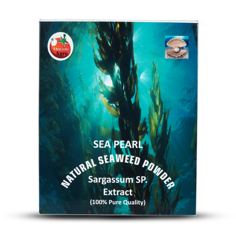 Sea Pearl Powder (1)